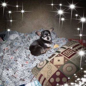 Meet your Posher, Deborah